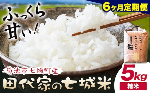 【6ヶ月定期便 】令和7年産 菊池市七城町産 田代家の七城米 七城ヒノヒカリ 白米 5kg 田代こめや《お申込み翌月から出荷》熊本県 菊池市 米 お米 精米 ひのひかり 菊池市産 熊本県産 九州産 送料無料---323-5026---