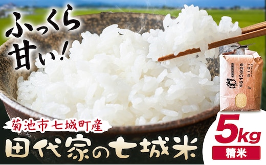 令和7年産 菊池市七城町産 田代家の七城米 七城ヒノヒカリ精米 5kg 田代こめや《30日以内に出荷予定(土日祝除く)》熊本県 菊池市 米 お米 精米 ひのひかり 菊池市産 熊本県産 九州産 送料無料---323-5002---