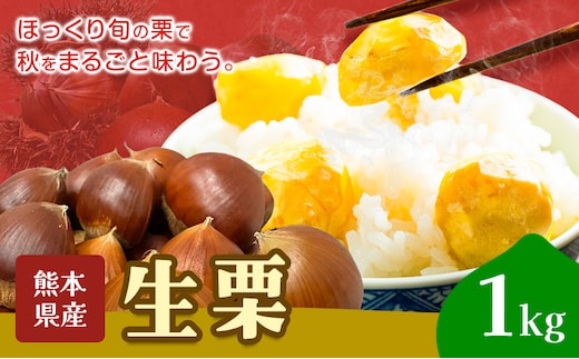 栗 生栗 1kg とくちゃん農園《2026年9月上旬-10月上旬頃出荷予定》熊本県 菊池市 栗 くり 熊本県産 秋の味覚 果物 くだもの フルーツ デザート ご飯---314-5004---