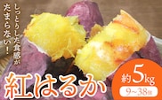 さつまいも 紅はるか 約5kg(9-38個) 株式会社GGYパッケージ《2025年11月下旬-2026年4月上旬頃出荷》熊本県 菊池市 さつまいも 紅はるか 芋 いも 野菜 国産 焼き芋 スイートポテト 芋ようかん 大学芋 干し芋 しっとり 旬 送料無料---124-2359---