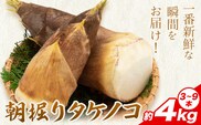 筍 朝掘りタケノコ 約4kg(3-9本) 株式会社GGYパッケージ《2026年4月上旬-4月下旬頃出荷》熊本県 菊池市 たけのこご飯 土佐煮 五目煮 チンジャオロース 野菜 国産 新鮮 旬 春 送料無料---124-2509---