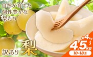 【先行予約】梨 訳あり梨 約4kg-4.5kg(10-18玉) 《2026年8月下旬-10月下旬頃出荷》 株式会社Foody's なし 和梨 フルーツ 果物 ご家庭用 不揃い キズあり 菊池市産 熊本県産 九州産---177-2361---
