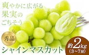 【先行予約】シャインマスカット 秀品 約2kg(3-7房) 日本フルーツ《2026年6月中旬-8月末頃出荷》熊本県 菊池市 ぶどう ブドウ 果物 フルーツ スイーツ デザート ギフト ご贈答---308-0014---