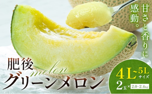 【先行予約】メロン 肥後グリーンメロン 特大 4L ～ 5L サイズ 2玉 約2～2.4kg×2 MOTOYAMA358FARM 《2026年4月中旬-6月中旬頃出荷》 熊本県 菊池市 メロン 果物 フルーツ 九州産 国産 送料無料---180-2218---