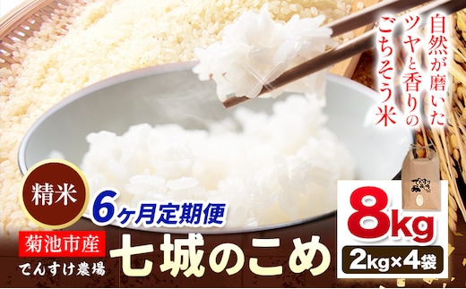 【6ヶ月定期便】令和7年産 精米 七城のこめ 8kg《お申込み翌月から出荷》熊本県 菊池市 米 白米 ヒノヒカリ でんすけ農場---309-4018---