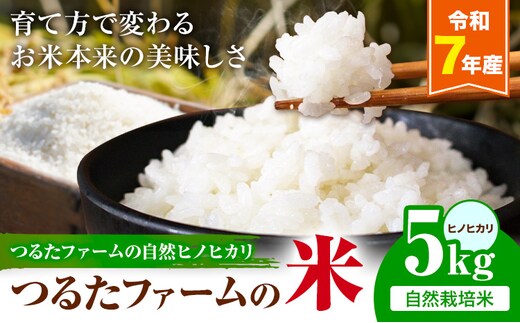 令和7年産 つるたファームの米 自然ヒノヒカリ 自然栽培米 ヒノヒカリ 5kg 株式会社七城の恵み《30日以内に出荷(土日祝除く)》熊本県 菊池市 米 ひのひかり つるたファーム---126-2522---