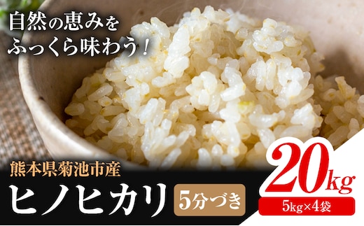 米 ヒノヒカリ 5分づき 20kg 内容量 1袋 5kg 合同会社くまもとごはん 《30日以内に出荷予定(土日祝除く)》 熊本県 菊池市 お米 分づき米 九州産 熊本県産 白米 無洗米 ひのひかり 送料無料---026-0524---