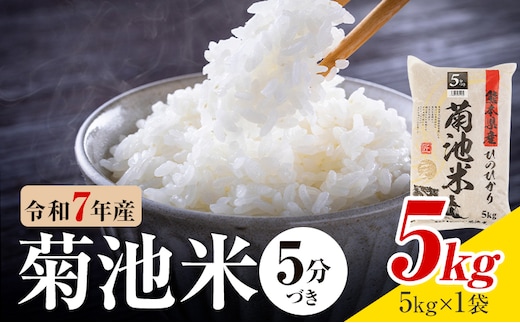 令和7年産 熊本県産 菊池米 5分づき 5kg 1袋5kg 株式会社くまもとごはん 《30日以内に出荷予定(土日祝除く)》米 お米 令和7年産 九州産 熊本県産 送料無料---026-3083---