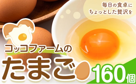 コッコファームのたまご 160個 コッコファーム《90日以内に出荷予定(土日祝除く)》熊本県 菊池市 卵 鶏卵 玉子 たまご 家庭用 熊本県産 九州産 冷蔵 送料無料---043-2019---