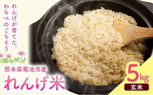 熊本県菊池市産のれんげ米 5kg 《30日以内に出荷予定(土日祝除く)》 精米方法 玄米 お米 レンゲ米 熊本県産 九州産 送料無料---313-0002---