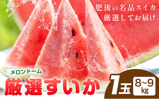 【先行予約】厳選すいか 1玉(8-9kg) 道の駅七城メロンドーム《2027年5月中旬-6月上旬頃出荷》品種おまかせ ランダム 肥後漫遊 味で勝負iS 祭りばやし 果物 フルーツ スイカ 西瓜 九州産 熊本県産 送料無料---003-5041---