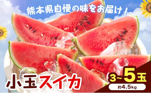 【先行予約】小玉スイカ 3～5玉 約4.5kg 日本フルーツ株式会社 《4月下旬-7月下旬頃出荷》 こだますいか 西瓜 すいか フルーツ 果物 くだもの 旬 熊本県 菊池市 熊本県産 くまもと---308-5022---