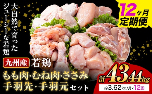 【12ヶ月定期便】 九州産若鶏もも肉 むね肉 ささみ 手羽先 手羽元 セット 計3.62kg 鶏肉 お肉 モモ肉 ムネ肉 5種類 詰め合わせ 小分け 冷凍 九州産 国産 熊本県 菊池市 送料無料《お申込み翌月から出荷》---0146-3115---