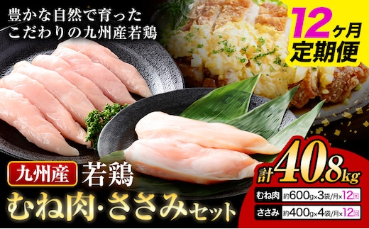 【12ヶ月定期便】 九州産 むね肉（600g×3袋）・ささみ（400g×4袋）鶏肉 お肉 ムネ肉 2種類 小分け 冷凍 詰め合わせ 九州産 国産 熊本県 菊池市 送料無料《お申込み翌月から出荷》---0146-3102---