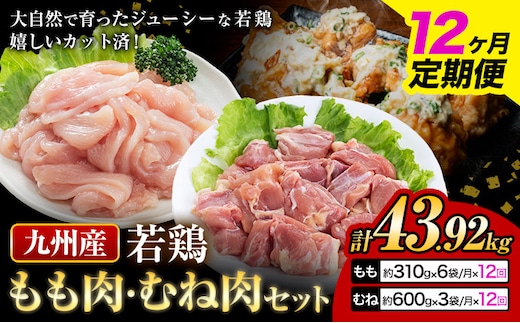 【12ヶ月定期便】 九州産若鶏もも肉（310g×6袋）・むね肉（600g×3袋）セット 鶏肉 お肉 モモ肉 もも肉 ムネ肉 むね肉 2種類 小分け 冷凍 九州産 国産 熊本県 菊池市 送料無料《お申込み翌月から出荷》---0146-3037---