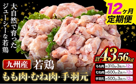 【12ヶ月定期便】 九州産 若鶏もも肉(310g×3袋) ムネ肉(600g×2袋) 手羽元 セット(500g×3袋) 計3.63kg 鶏肉 肉 鶏 手羽 手羽元 唐揚げ 詰め合わせ セット 冷凍 九州 国産 熊本県 菊池市 送料無料《お申込み翌月から出荷》---0146-3063---