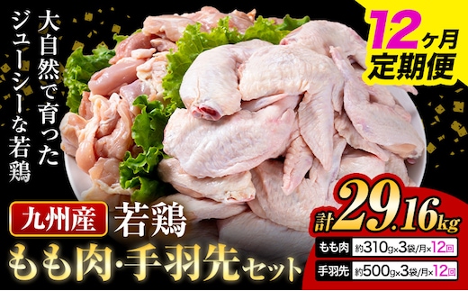 【12ヶ月定期便】 九州産 若鶏もも肉（310g×3袋）・手羽先セット（500g×3袋） 計2.43kg 鶏肉 肉 鶏 手羽 唐揚げ 詰め合わせ セット 冷凍 九州 国産 熊本県 菊池市 送料無料《お申込み翌月から出荷》---0146-3076---