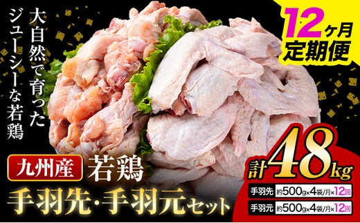 【12ヶ月定期便】 九州産 手羽先（500g×4袋）・手羽元（500g×4袋）セット 計4kg 鶏肉 肉 鶏 手羽 唐揚げ 詰め合わせ セット 冷凍 九州 国産 熊本県 菊池市 送料無料《お申込み翌月から出荷》---0146-3089---