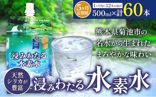 【5ヶ月定期便】浸みわたる水素水 12本 内容量 1本500ml 計30L《お申込み翌月から出荷》水 水素水 天然水 飲料水 ミネラルウォーター アルミパウチ パウチ 国産 九州産 熊本県産 菊池市産---003-2416---