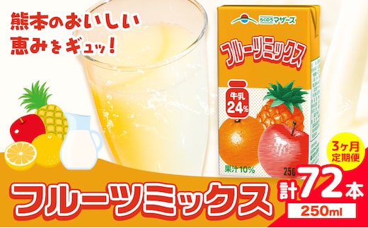 常温保存可能 【1ヶ月毎3回定期便】フルーツミックス 250ml×24本 計72本 合同会社たべたせいか《お申し込みの翌月から出荷》熊本県 菊池市 ミックスジュース らくのうマザーズ フルーツ牛乳 フルーツ ジュース 紙パック ジュース ドリンク ---0016-3181---