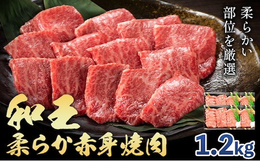 熊本県産A5等級和王 柔らか赤身焼肉 1.2kg 帝神志方ミート株式会社《90日以内に出荷予定(土日祝除く)》熊本県 菊池市 牛肉 肉 お肉 和牛 くまもと黒毛和牛 熊本県産 A5 和王 赤身 赤身肉 柔らか 厳選 焼肉---0149-3010---