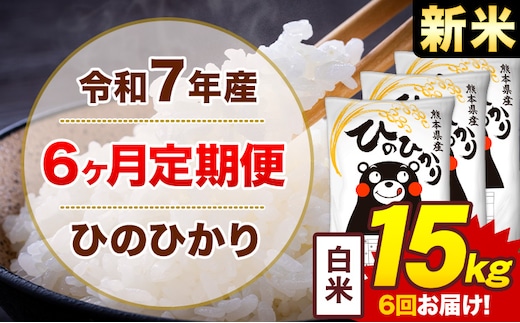 【6ヶ月定期便】新米 令和7年産 白米 15kg 米 ひのひかり《お申込み翌月から出荷》熊本県 菊池市 国産 熊本県産 白米 精米 無洗米 送料無料 ヒノヒカリ こめ お米---300-4251---