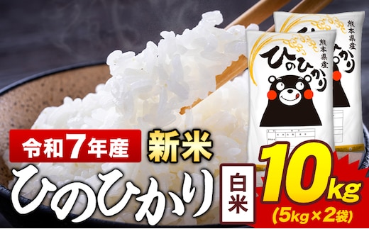 令和7年産 新米 白米 米 ひのひかり 10kg《12月中旬-2月末頃出荷》熊本県 菊池市 国産 熊本県産 白米 精米 送料無料 ヒノヒカリ こめ お米 ---kikuchi_lcl_268_10kg---