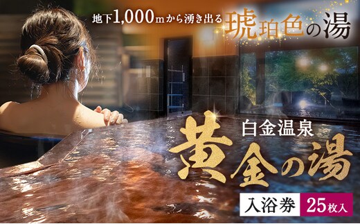 白金温泉 黄金の湯 入浴券 25枚 株式会社白金の森《30日以内に出荷予定(土日祝除く)》熊本県 菊池市 チケット 温泉 天然温泉 旅行 送料無料---075-0512---