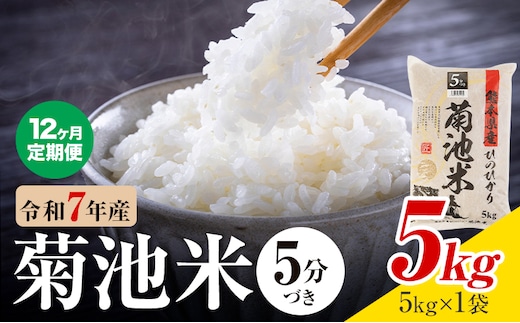 【12ヶ月定期便】令和7年産 熊本県産 菊池米 5分づき 5kg 1袋5kg 株式会社くまもとごはん 《お申込み翌月に出荷予定》米 お米 令和7年産 九州産 熊本県産 送料無料---026-3131mo12---