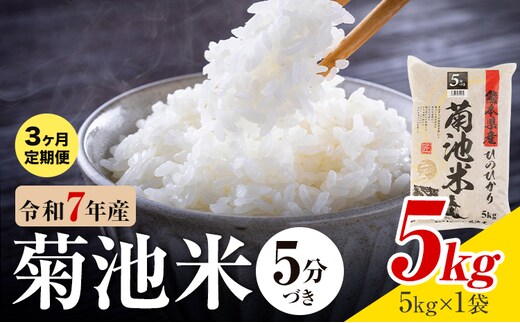 【3ヶ月定期便】令和7年産 熊本県産 菊池米 5分づき 5kg 1袋5kg 株式会社くまもとごはん 《お申込み翌月に出荷予定》米 お米 令和7年産 九州産 熊本県産 送料無料---026-3125mo3---