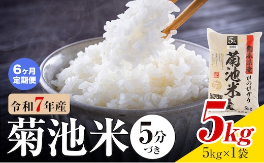 【6ヶ月定期便】令和7年産 熊本県産 菊池米 5分づき 5kg 1袋5kg 株式会社くまもとごはん 《お申込み翌月に出荷予定》米 お米 令和7年産 九州産 熊本県産 送料無料---026-3128mo6---