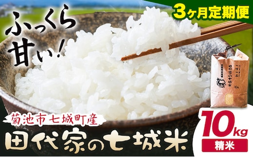 【3ヶ月定期便】令和7年産 菊池市七城町産 田代家の七城米 七城ヒノヒカリ 白米 10kg 田代こめや《お申込み翌月から出荷》熊本県 菊池市 米 お米 精米 ひのひかり 菊池市産 熊本県産 九州産 送料無料---323-5015---