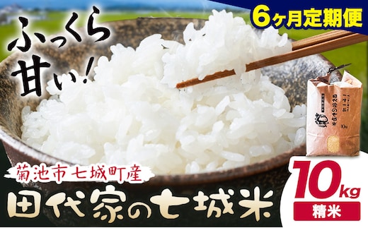 【6ヶ月定期便 】令和7年産 菊池市七城町産 田代家の七城米 七城ヒノヒカリ 白米 10kg 田代こめや《お申込み翌月から出荷》熊本県 菊池市 米 お米 精米 ひのひかり 菊池市産 熊本県産 九州産 送料無料---323-5027---