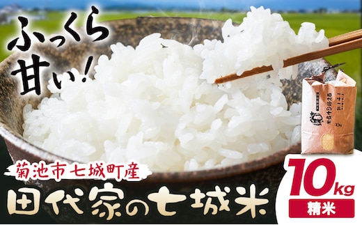 令和7年産 菊池市七城町産 田代家の七城米 七城ヒノヒカリ精米 10kg 田代こめや《30日以内に出荷予定(土日祝除く)》熊本県 菊池市 米 お米 精米 ひのひかり 菊池市産 熊本県産 九州産 送料無料---323-5003---