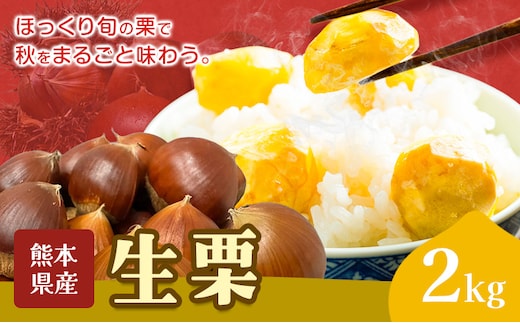 栗 生栗 2kg とくちゃん農園《2026年9月上旬-10月上旬頃出荷予定》熊本県 菊池市 栗 くり 熊本県産 秋の味覚 果物 くだもの フルーツ デザート ご飯---314-5005---