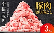 豚肉 切り落とし 3kg 焼肉いしい 株式会社石井牧場《30日以内に出荷予定(土日祝除く)》 熊本県 菊池市 肉 豚肉 焼肉 切り落とし 生姜焼き 肉じゃが---325-5003---