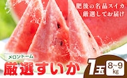 【先行予約】厳選すいか 1玉(8-9kg) 道の駅七城メロンドーム《2027年5月中旬-6月上旬頃出荷》品種おまかせ ランダム 肥後漫遊 味で勝負iS 祭りばやし 果物 フルーツ スイカ 西瓜 九州産 熊本県産 送料無料---003-5041---