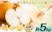 【先行予約】旬の梨 品種おまかせ 約5kg 日本フルーツ株式会社《2026年8月上旬-10月上旬頃出荷》熊本県 菊池市 梨 なし 豊水 秋月 新高 和梨 熊本県産---308-5003---