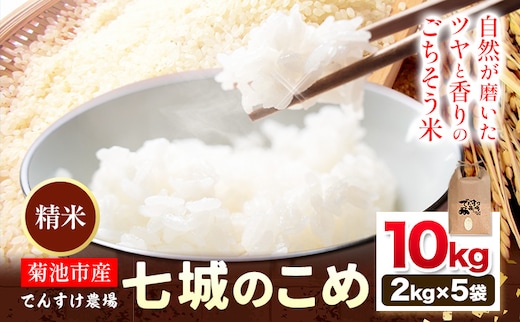 令和7年産 精米 七城のこめ 10kg《30日以内に出荷予定(土日祝除く)》熊本県 菊池市 米 白米 ヒノヒカリ でんすけ農場---309-4005---