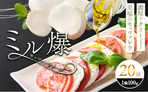 モッツァレラチーズ ミル爆 20個 チーズ モザレラ 株式会社フォルナ・ヴェスタ《90日以内に出荷予定(土日祝除く)》フレッシュ カプレーゼ おつまみ 前菜 手作り 国産 熊本県 菊池市 送料無料---018-1988---