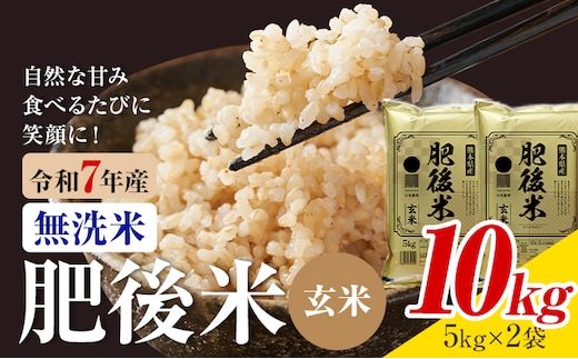 令和7年産 熊本県産 肥後米 玄米 10kg 1袋5kg 株式会社くまもとごはん 《30日以内に出荷予定(土日祝除く)》米 お米 令和7年産 九州産 熊本県産 送料無料---026-3013---