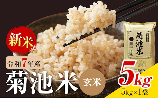 令和7年産 熊本県産 菊池米 玄米 5kg 1袋5kg 株式会社くまもとごはん 《30日以内に出荷予定(土日祝除く)》米 お米 令和7年産 九州産 熊本県産 送料無料---026-5039---