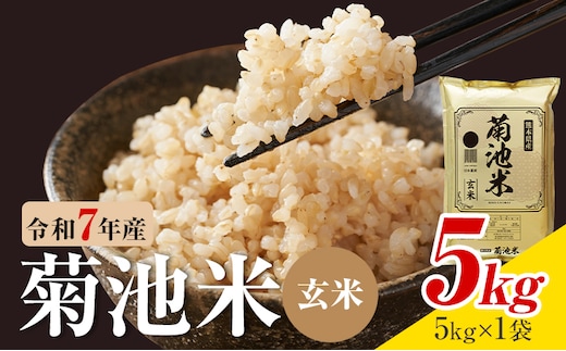 令和7年産 熊本県産 菊池米 玄米 5kg 1袋5kg 株式会社くまもとごはん 《30日以内に出荷予定(土日祝除く)》米 お米 令和7年産 九州産 熊本県産 送料無料---026-5039---