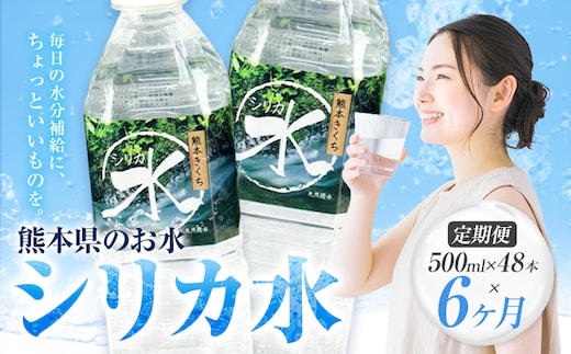 【6ヶ月定期便】 水 シリカ水 500ml × 48本 × 年6回 有限会社七城町特産品センター メロンドーム 《お申し込みの翌月から出荷》 熊本県 菊池市 水 軟水 飲料 ドリンク 清涼飲料水 天然地下水 ペットボトル ミネラルウォーター 定期便 送料無料---003-1688---