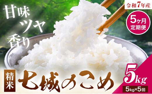 【5ヶ月定期便】令和7年産 七城のこめ 精米 5kg/月×5回 計25kg ヒノヒカリ ひのひかり 有限会社七城町特産品センター 《お申し込み月の翌月から出荷開始》 熊本県 菊池市 定期便 お米 米 白米 九州産 熊本県産---003-0295---