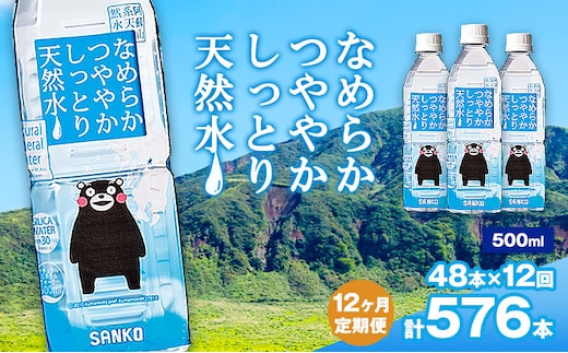 【12ヶ月定期便】なめらかつややかしっとり天然水 500ml 合計48本 24本×2ケース 12回 株式会社サンコー熊本営業所《お申し込みの翌月から出荷》天然水 軟水 鉱水 シリカ水 飲料水 ミネラルウォーター ペットボトル 熊本県 菊池市 送料無料---095-1525----