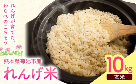 熊本県菊池市産のれんげ米 10kg 《30日以内に出荷予定(土日祝除く)》 精米方法 玄米 お米 レンゲ米 熊本県産 九州産 送料無料---313-5001---