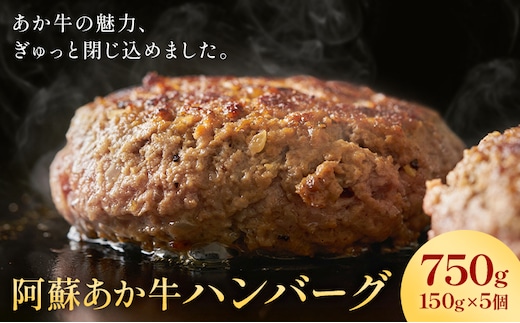 阿蘇あか牛ハンバーグ 750g 150g × 5個 株式会社LARKS《30日以内に出荷予定(土日祝除く)》ハンバーグ あか牛 牛肉 熊本県 冷凍 送料無料---133-1872---