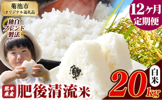 【12ヶ月定期便】 熊本県産 肥後清流米 白米 20kg ブレンド米 熊本県産 ふるさと納税 精米 米 こめ ふるさとのうぜい コメ お米 おこめ《1月から出荷開始》---300-4093---