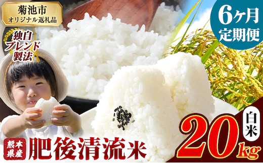 【6ヶ月定期便】 熊本県産 肥後清流米 白米 20kg ブレンド米 熊本県産 ふるさと納税 精米 米 こめ ふるさとのうぜい コメ お米 おこめ《1月から出荷開始》---300-4077---